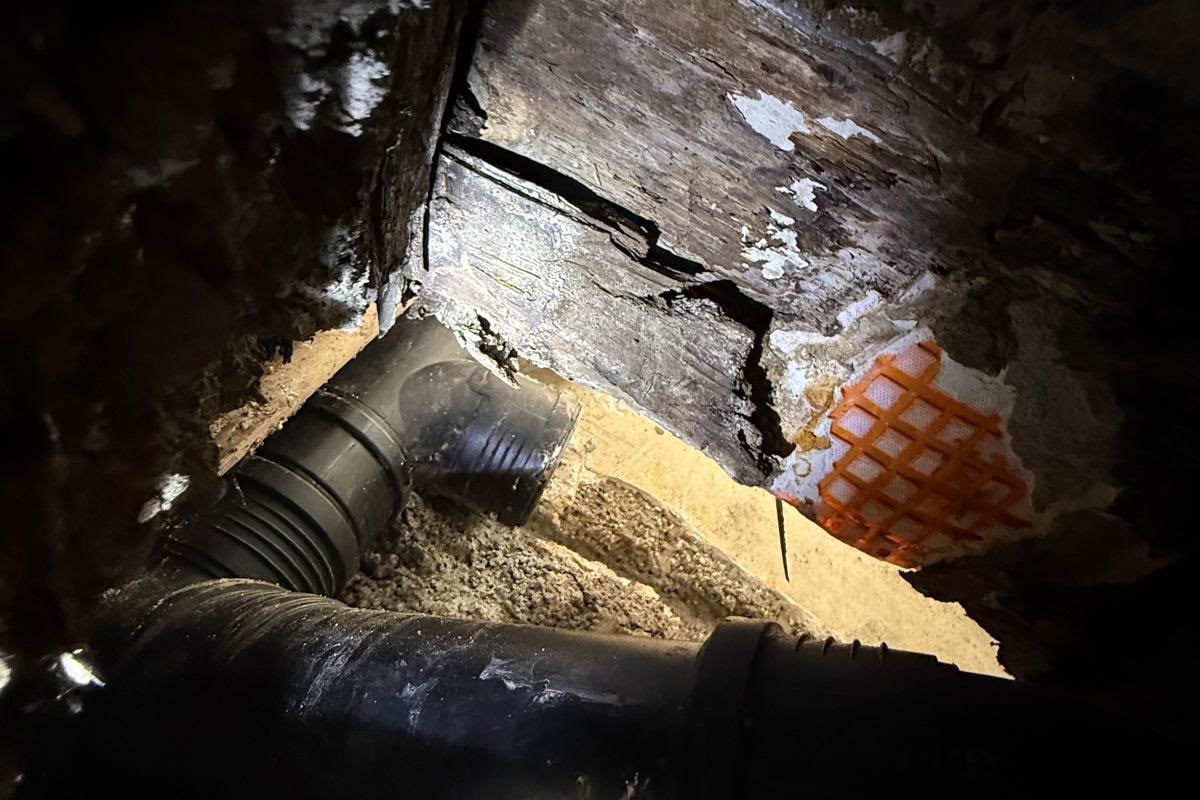 Geöffneter Fußbodenaufbau: zwischen Schüttung und freigelegten Abwasserrohren liegt ein Holzbalken, dessen Oberfläche aufgerissen und weiß ausgeblüht ist.